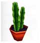 Archivo:Cactus alto (PA!).jpg