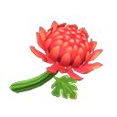 Archivo:Crisantemo rojo (New Horizons).png