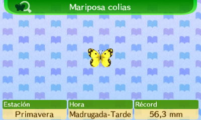 Mariposa Colias NL.png