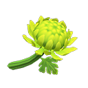 Archivo:Crisantemo verde (New Horizons).png