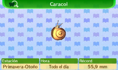 Archivo:Caracol NL.png