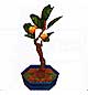 Archivo:Acebo bonsai (PA!).jpg