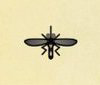 Archivo:Mosquito NH.png