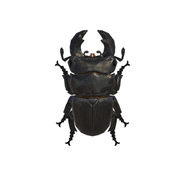 Archivo:Gran Escarabajo (New Horizons).png