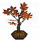 Archivo:Arce bonsai (PA!).jpg