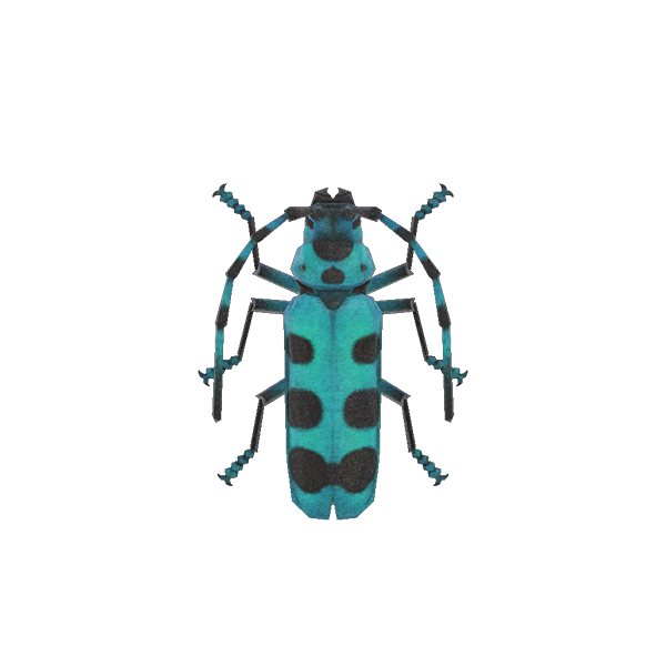 Archivo:Escarabajo rosalia batesi (New Horizons).png