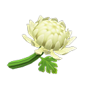 Archivo:Crisantemo blanco (New Horizons).png