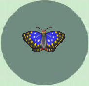 Mariposa Azul.png