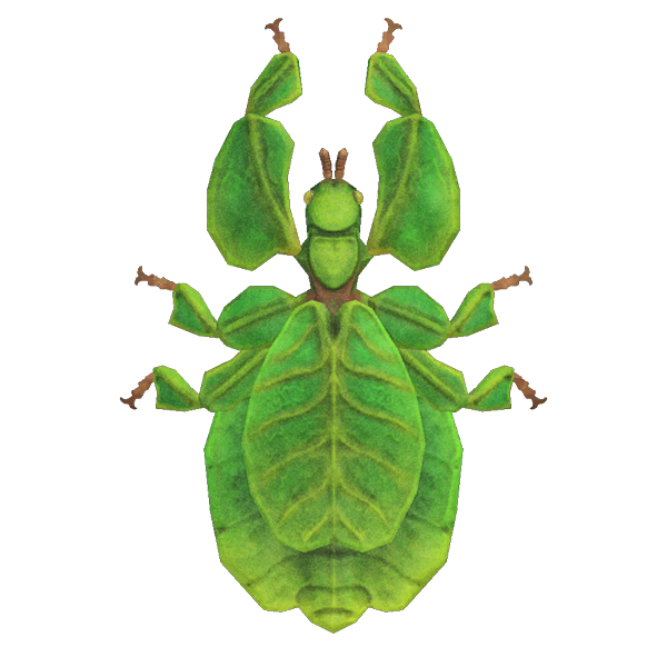Insecto hoja Animal Crossing Enciclopedia