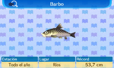 Barbo NL.jpg