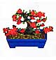 Archivo:Membrillo bonsai (PA!).jpg