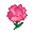 Archivo:Clavel rosa (New Leaf).png