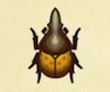 Archivo:Escarabajo astado hércules NH.png
