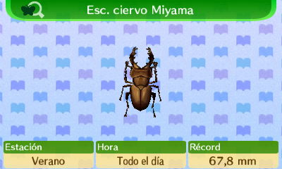 Archivo:Escarabajo Miyama NL.png