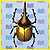 Escarabajo Hércules NL.gif