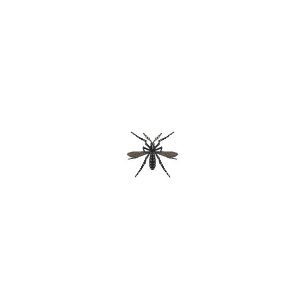 Archivo:Mosquito (New Horizons).png