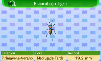 Archivo:Escarabajo Tigre NL.png