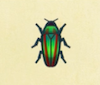 Archivo:Escarabajo joya NH.png