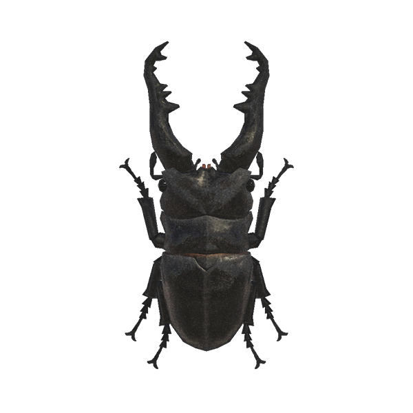 Archivo:Escarabajo Ciervo Jirafa (New Horizons).png