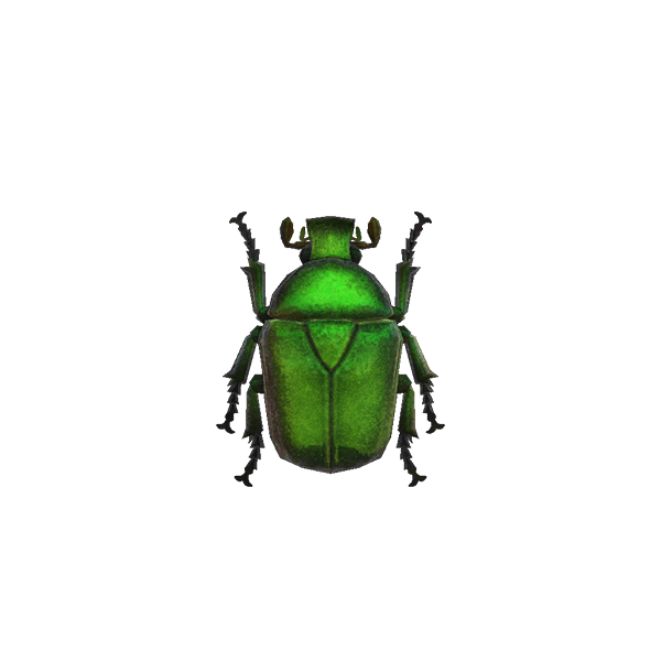 Archivo:Escarabajo Verde (New Horizons).png