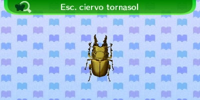 Escarabajo Ciervo Tornasol NL.png