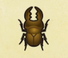 Archivo:Escarabajo ciervo Miyama NH.png