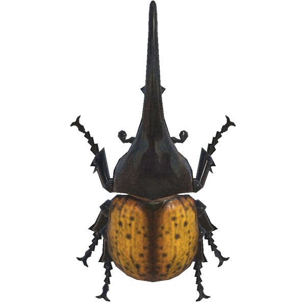 Archivo:Escarabajo Astado Hércules (New Horizons).png