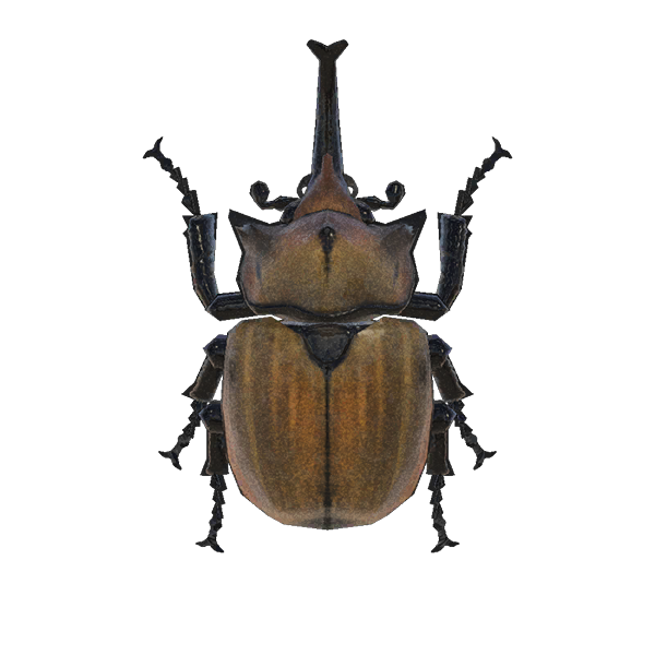 Archivo:Escarabajo Astado Elefante (New Horizons).png