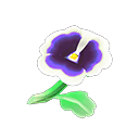 Archivo:Viola blanca (New Horizons).png