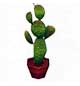 Archivo:Cactus (2) (PA!).jpg