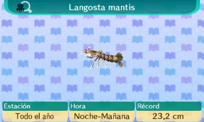 Archivo:Ventana Langosta mantis NL.jpg