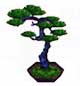 Archivo:Ponderosa bonsai (PA!).jpg