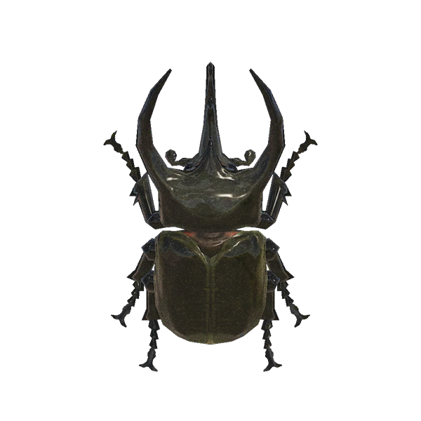 Archivo:Escarabajo Astado Atlas (New Horizons).png