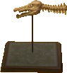 Archivo:Cráneo espinosaurio (NL).png