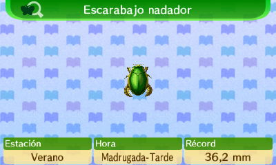Escarabajo Nadador NL.png