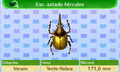 Escarabajo Astado Hércules NL.png
