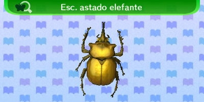 Escarabajo Astado Elefante NL.png