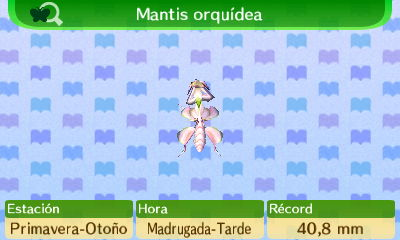 Mantis Orquídea NL.png