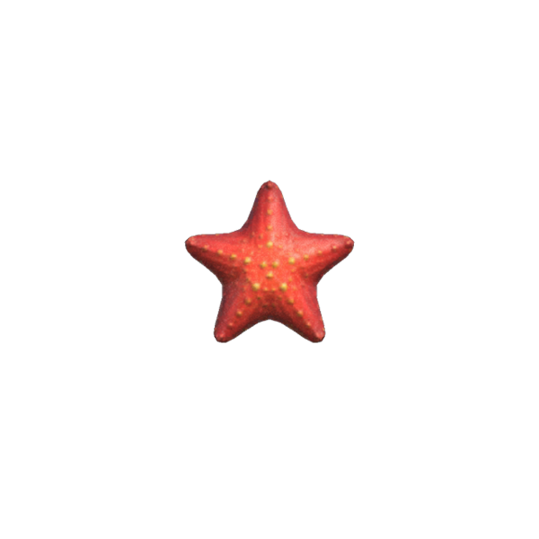 Archivo:Estrella de Mar (New Horizons).png