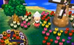 Parpadear pasando por un lugar tan bonito. Mira un molino, tulipanes y un reloj de flores, creo que en Animal Crossing: Población: ¡en aumento! también había ese reloj.
