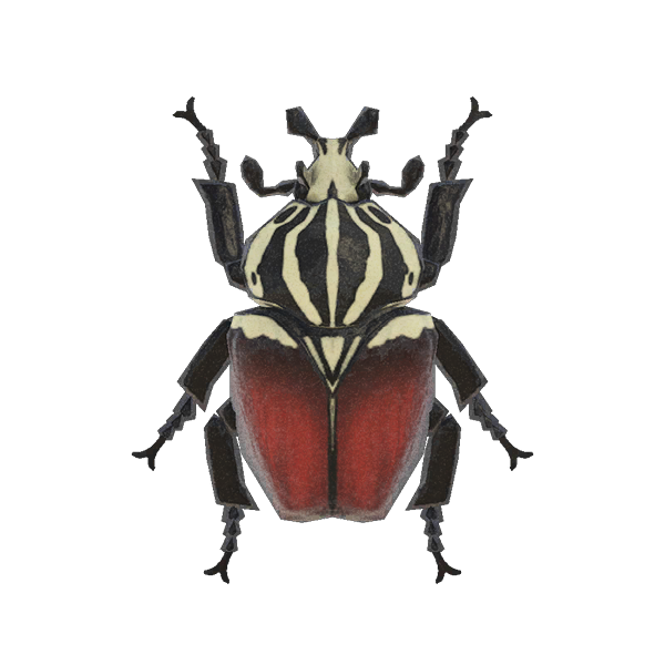 Archivo:Escarabajo Goliat (New Horizons).png