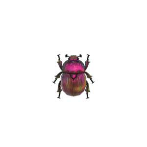 Archivo:Escarabajo geotrúpido (New Horizons).png