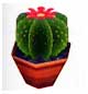 Archivo:Cactus redondo (PA!).jpg