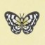Archivo:Mariposa cometa de papel NH.jpg