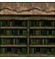 Pared biblioteca (PA!).jpg