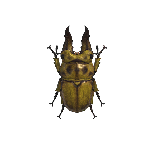 Archivo:Escarabajo Ciervo Tornasol (New Horizons).png
