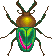 Escarabajo Ciervo Arcoíris WW.gif