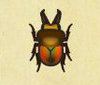 Archivo:Escarabajo ciervo arcoíris NH.png