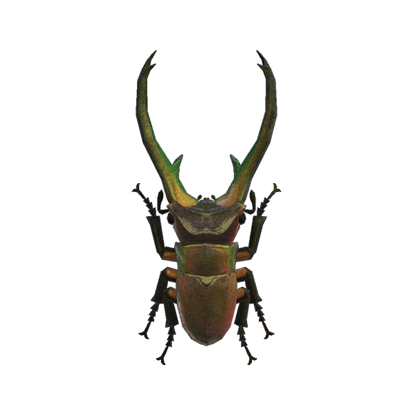 Archivo:Escarabajo Cyclommatus (New Horizons).png