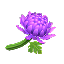 Archivo:Crisantemo morado (New Horizons).png